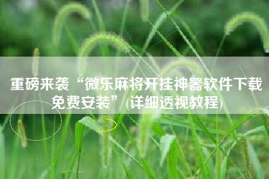 重磅来袭“微乐麻将开挂神器软件下载免费安装”(详细透视教程)