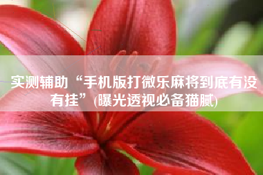 实测辅助“手机版打微乐麻将到底有没有挂	”(曝光透视必备猫腻)