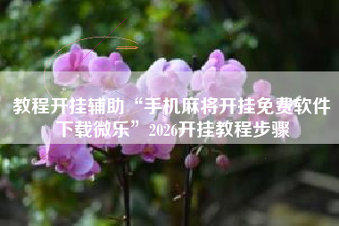 教程开挂辅助“手机麻将开挂免费软件下载微乐”2026开挂教程步骤