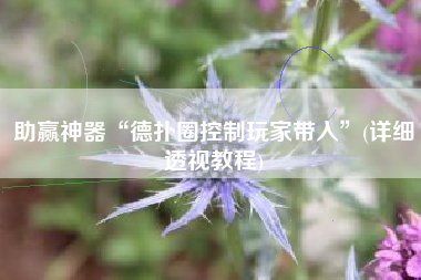 助赢神器“德扑圈控制玩家带入”(详细透视教程)