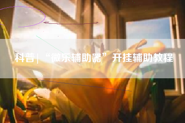 科普|“微乐辅助器”开挂辅助教程