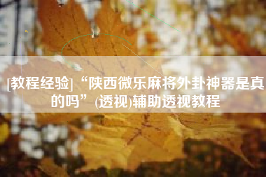 [教程经验]“陕西微乐麻将外卦神器是真的吗”(透视)辅助透视教程