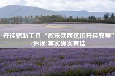 开挂辅助工具“微乐陕西挖坑开挂教程”(透视)其实确实有挂