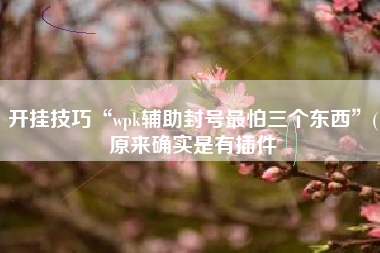 开挂技巧“wpk辅助封号最怕三个东西”(原来确实是有插件
