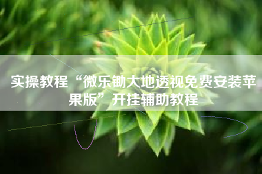 实操教程“微乐锄大地透视免费安装苹果版	”开挂辅助教程