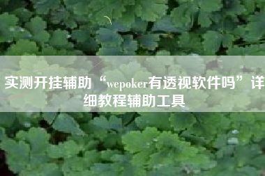 实测开挂辅助“wepoker有透视软件吗”详细教程辅助工具