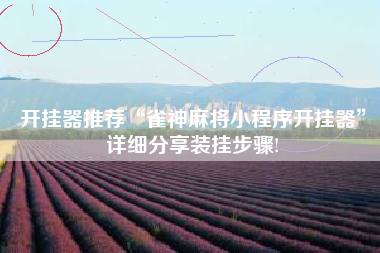 开挂器推荐“雀神麻将小程序开挂器”详细分享装挂步骤!