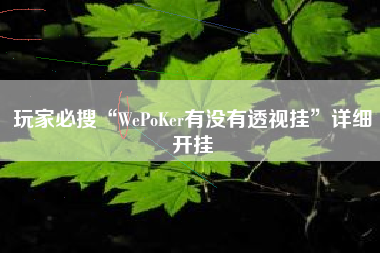玩家必搜“WePoKer有没有透视挂”详细开挂