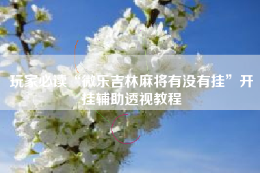 玩家必读“微乐吉林麻将有没有挂”开挂辅助透视教程