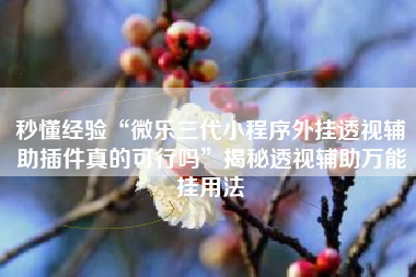 秒懂经验“微乐三代小程序外挂透视辅助插件真的可行吗	”揭秘透视辅助万能挂用法