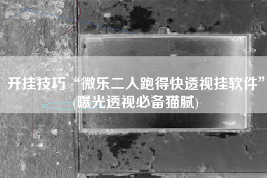 开挂技巧“微乐二人跑得快透视挂软件	”(曝光透视必备猫腻)