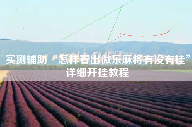 实测辅助“怎样看出微乐麻将有没有挂”详细开挂教程