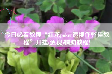 今日必看教程“红龙poker透视作弊挂教程”开挂(透视)辅助教程!
