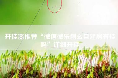 开挂器推荐“微信微乐刨幺自建房有挂吗”详细开挂