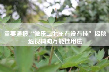 重要通报“微乐二七王有没有挂”揭秘透视辅助万能挂用法
