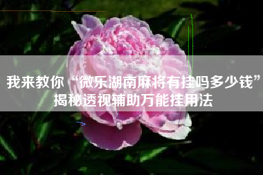 我来教你“微乐湖南麻将有挂吗多少钱”揭秘透视辅助万能挂用法