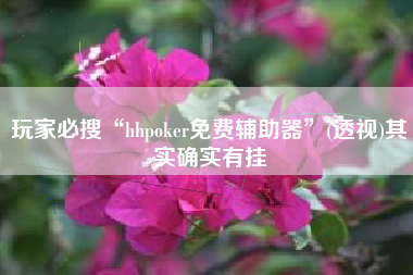 玩家必搜“hhpoker免费辅助器”(透视)其实确实有挂
