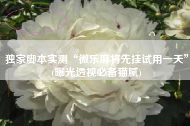 独家脚本实测“微乐麻将先挂试用一天	”(曝光透视必备猫腻)