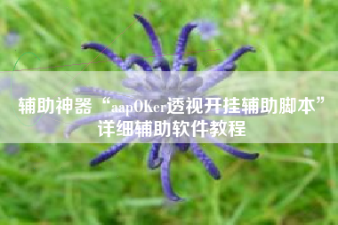 辅助神器“aapOKer透视开挂辅助脚本	”详细辅助软件教程