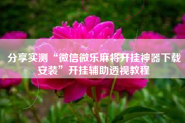 分享实测“微信微乐麻将开挂神器下载安装	”开挂辅助透视教程