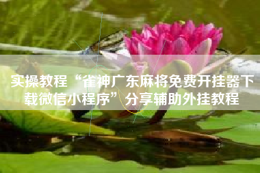 实操教程“雀神广东麻将免费开挂器下载微信小程序”分享辅助外挂教程