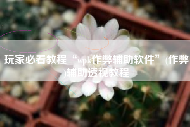 玩家必看教程“wpk作弊辅助软件”(作弊)辅助透视教程