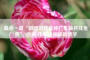 盘点一款“微信游戏雀神广东麻将挂免费”(透视)详细透视辅助教学