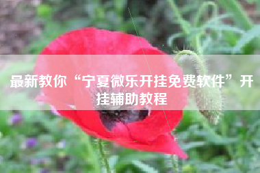 最新教你“宁夏微乐开挂免费软件	”开挂辅助教程