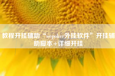 教程开挂辅助“wepoker外挂软件”开挂辅助脚本+详细开挂