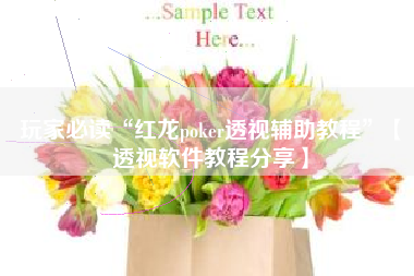 玩家必读“红龙poker透视辅助教程”【透视软件教程分享】