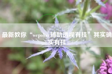 最新教你“wepoker辅助透视有挂”其实确实有挂