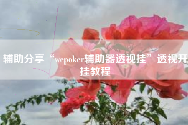 辅助分享“wepoker辅助器透视挂	”透视开挂教程