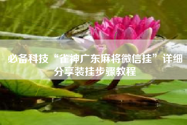 必备科技“雀神广东麻将微信挂	”详细分享装挂步骤教程