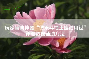 玩家辅助神器“微乐斗地主挂谁用过”详细透视辅助方法