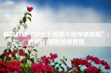 辅助教程“微乐干瞪眼小程序辅助器”(透视挂)辅助透视教程