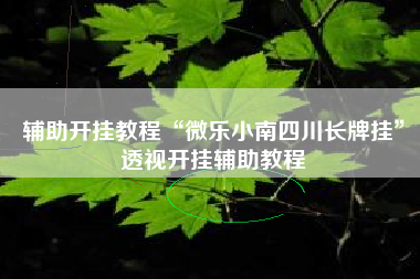 辅助开挂教程“微乐小南四川长牌挂	”透视开挂辅助教程