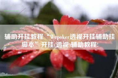 辅助开挂教程“Wepoker透视开挂辅助挂脚本”开挂(透视)辅助教程!