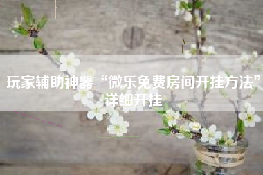 玩家辅助神器“微乐免费房间开挂方法”详细开挂