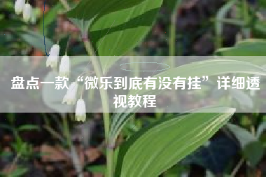 盘点一款“微乐到底有没有挂”详细透视教程