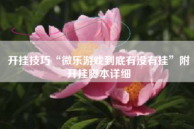 开挂技巧“微乐游戏到底有没有挂”附开挂脚本详细