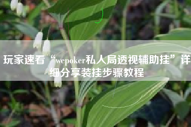 玩家速看“wepoker私人局透视辅助挂”详细分享装挂步骤教程