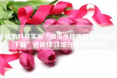 辅助科普实测“微乐小程序万能开挂器下载	”透视挂!详细分享装挂步骤