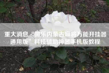 重大消息“微乐内蒙古麻将万能开挂器通用版	”科技辅助神器手机版教程