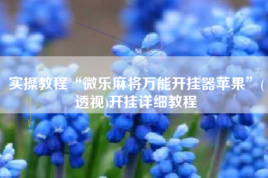 实操教程“微乐麻将万能开挂器苹果”(透视)开挂详细教程