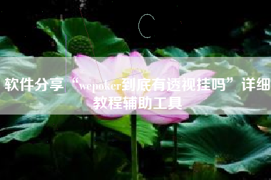 软件分享“wepoker到底有透视挂吗	”详细教程辅助工具