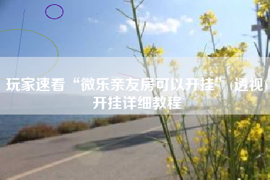 玩家速看“微乐亲友房可以开挂	”(透视)开挂详细教程