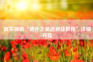 真实辅助“德扑之星透视挂教程”详细开挂