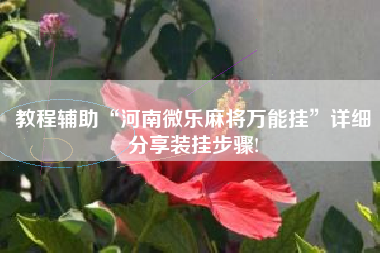 教程辅助“河南微乐麻将万能挂”详细分享装挂步骤!