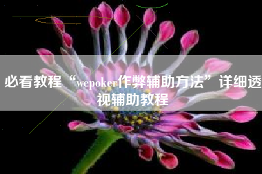 必看教程“wepoker作弊辅助方法”详细透视辅助教程