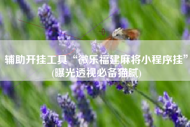 辅助开挂工具“微乐福建麻将小程序挂	”(曝光透视必备猫腻)